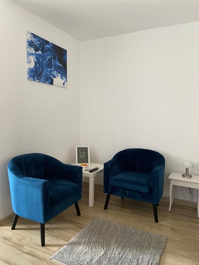 Take Pro Timisoara Apartment المظهر الخارجي الصورة