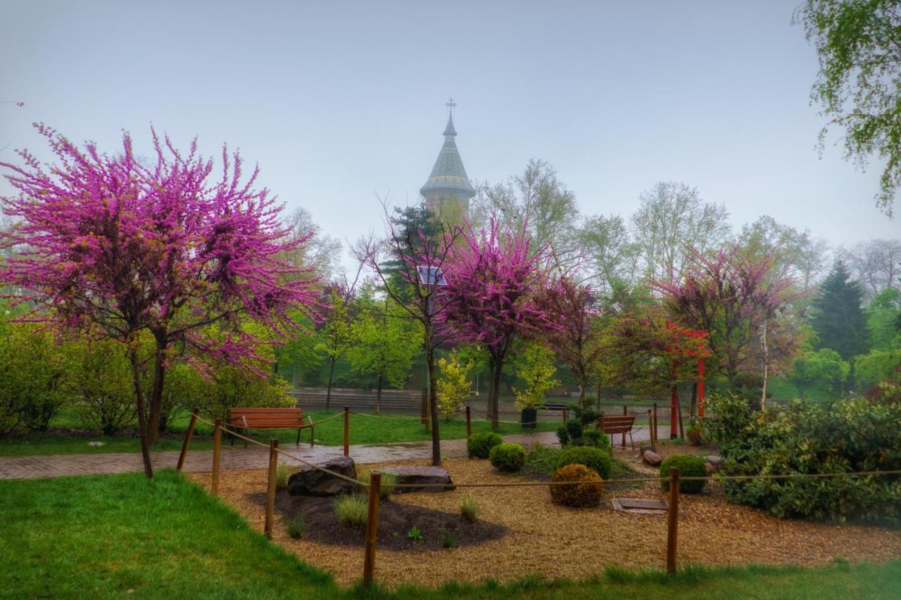 Take Pro Timisoara Apartment المظهر الخارجي الصورة